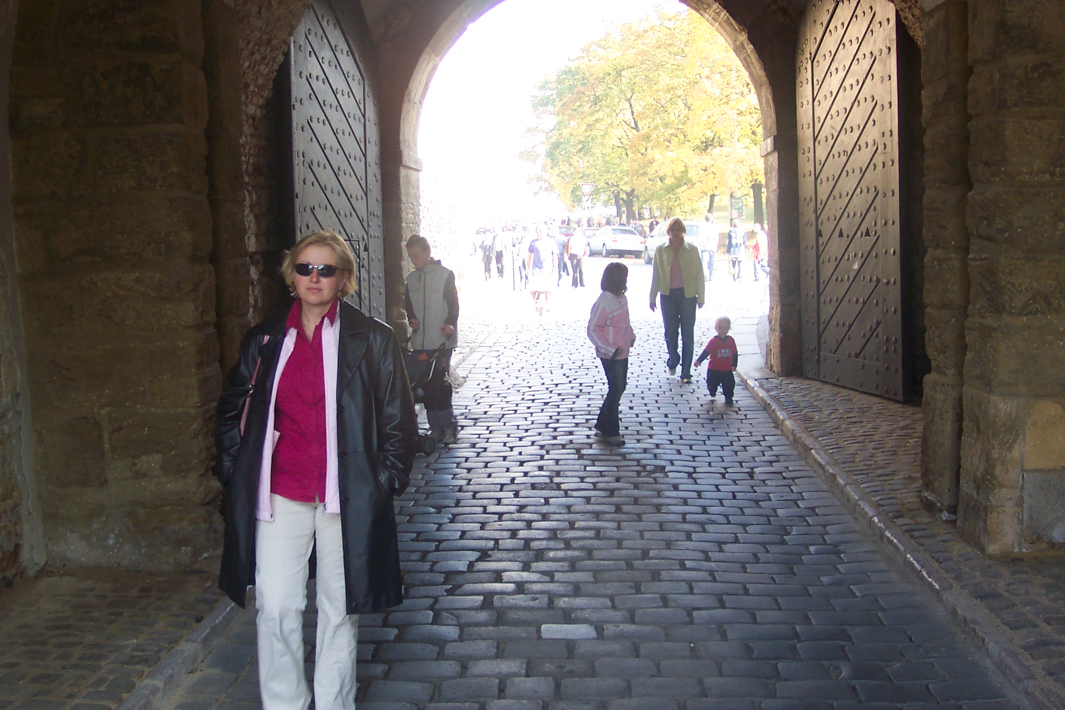 Slatiňany, Vyšehrad, Praha 098.jpg